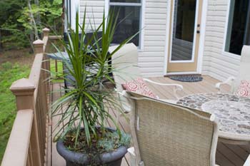 trex deck_20060814_0062006081486f